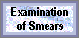 Smear Examination(2854 bytes)